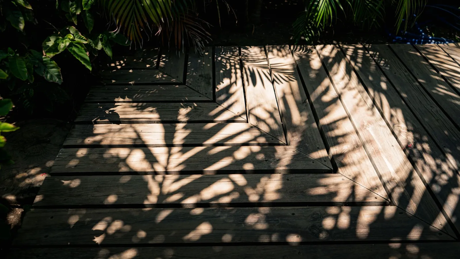 Decking boards in a garden with palm leaf shadows