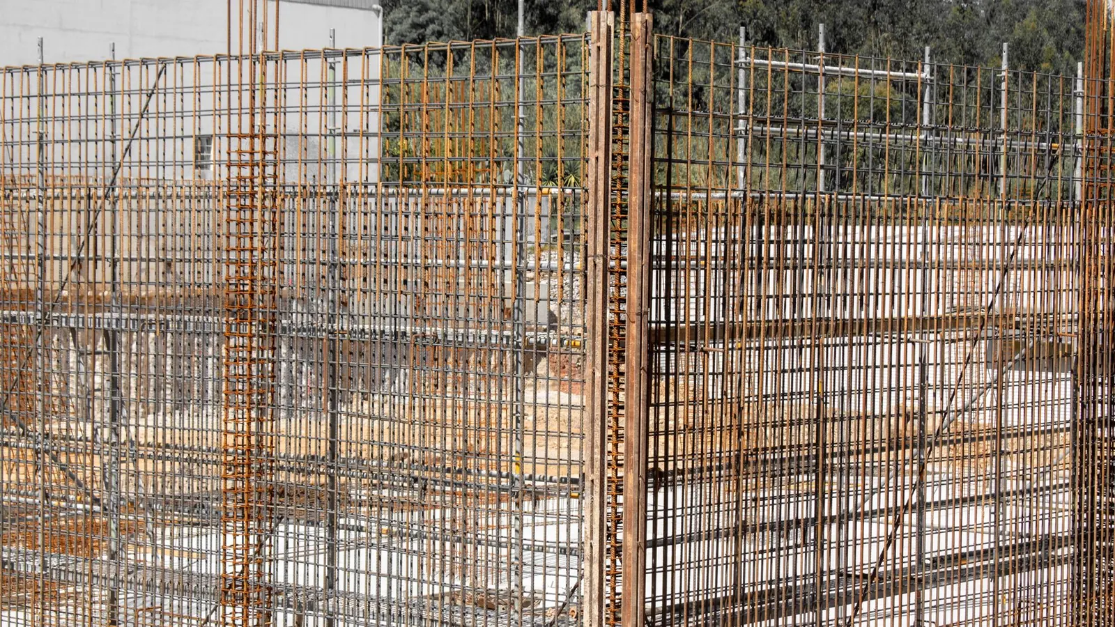 Steel reinforcement bars rising from timber formwork